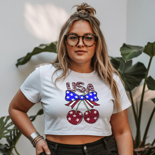 USA 4th Of July PNG
